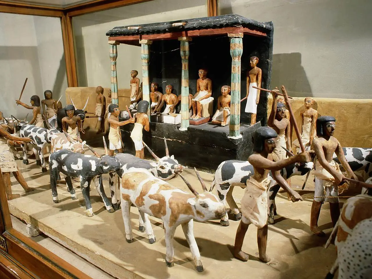 Model of cattle census